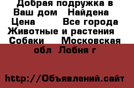 Добрая подружка,в Ваш дом!!!Найдена › Цена ­ 10 - Все города Животные и растения » Собаки   . Московская обл.,Лобня г.